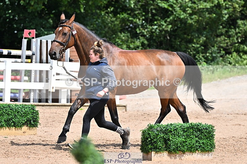 240718A-105306-01563 - Trot Up 1pm to 2pm