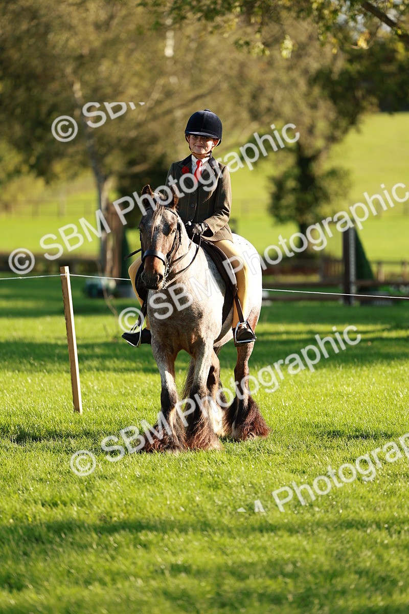 SBM_28755 - S7 - Novice & Newcomer Ridden Pony