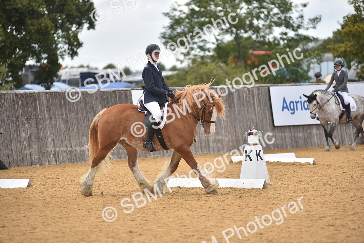 SBM_29611 - D16 -Small Tour Championship Novice 2
