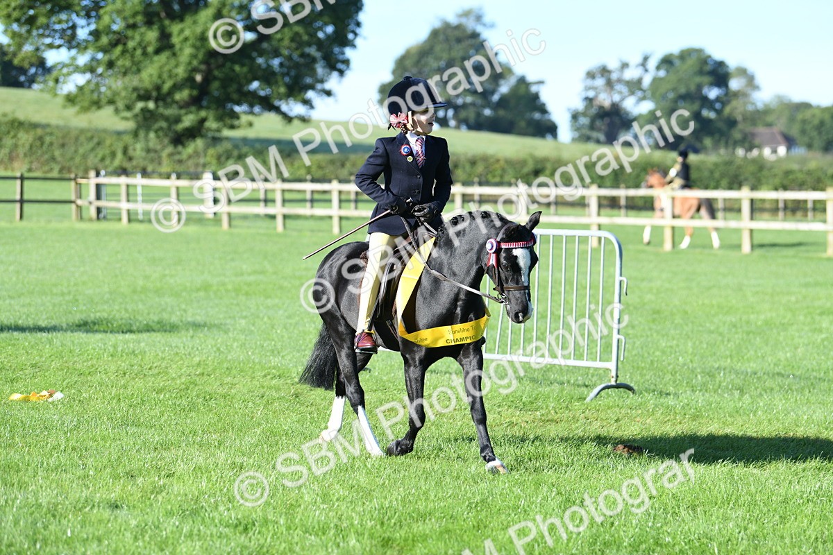 SBM_34132 - S16 - Condition & Turnout - Ridden