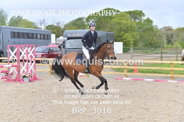 BPP_3918 - CLASS 2  Club/ Unaffiliated 80cms Open