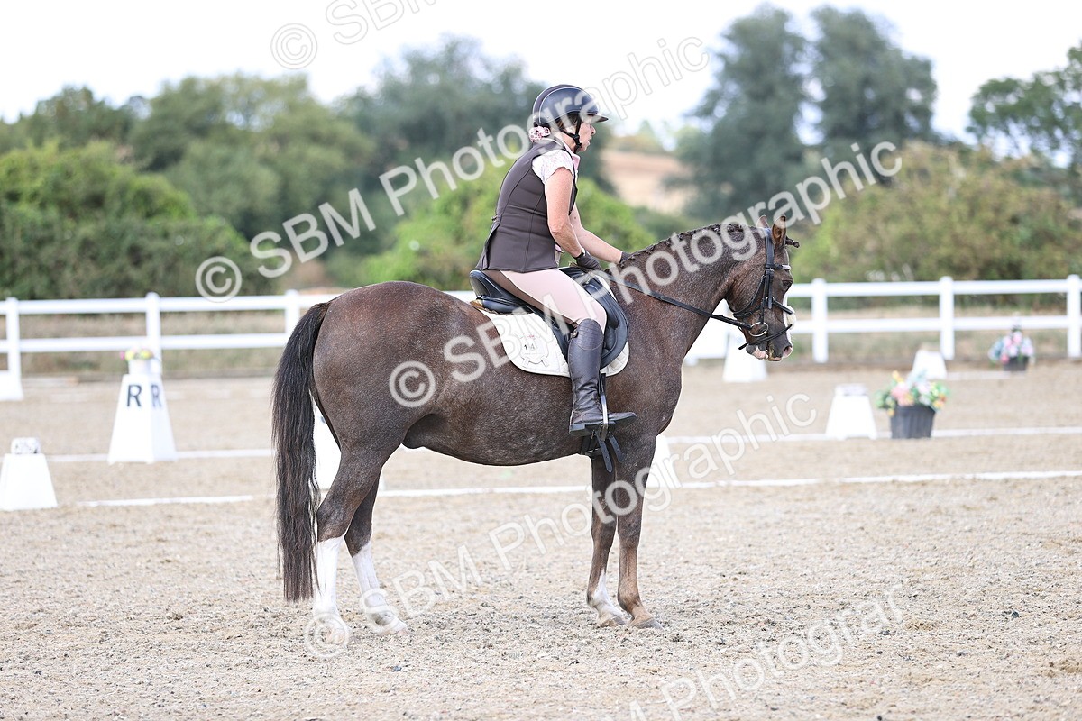 SBM_015963 - Class 5 - E5 Bronze  16.18.17.22