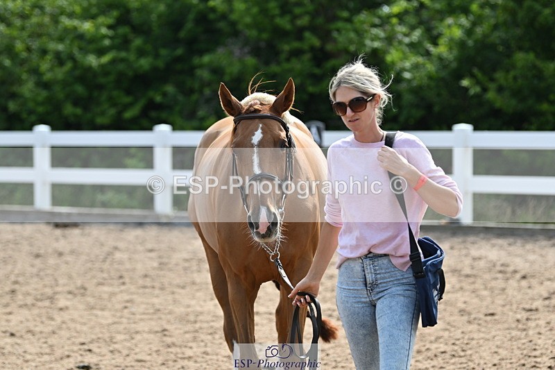 240717A-161256-03356 - Trot Up 4pm to 5pm