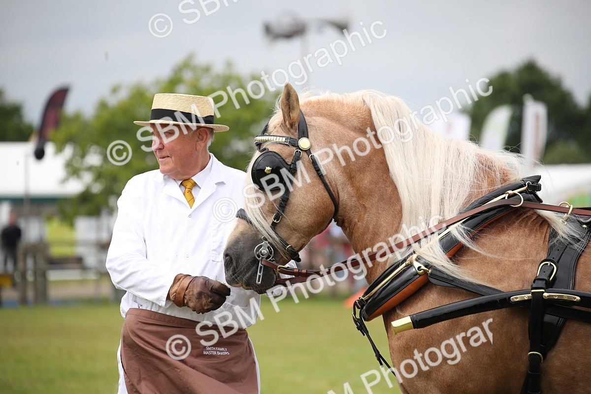 SBM_07049 - Class 16 - Light Trade