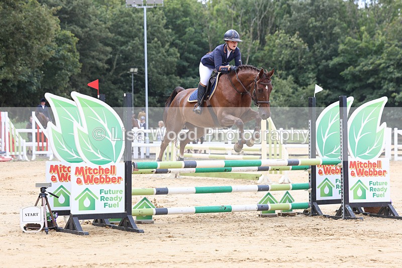 3E7A3291 - Class 4: Senior British Novice/90cm open
