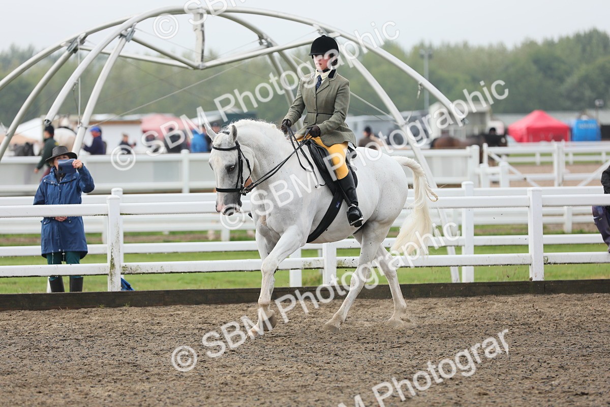 SBM_21297 - Class 805 - Ridden Veteran Horse