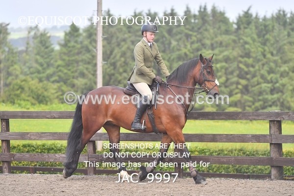 JAC_9997 - CLASS 3 Intermediate Working Hunter (0.70m - 0.85m)