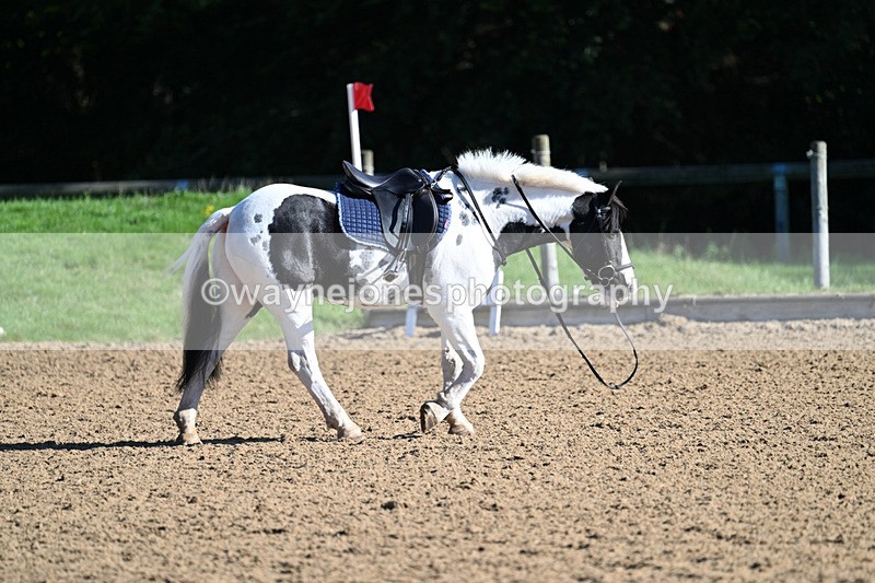 WJ7_1279 - Time 10:39 to 11:18