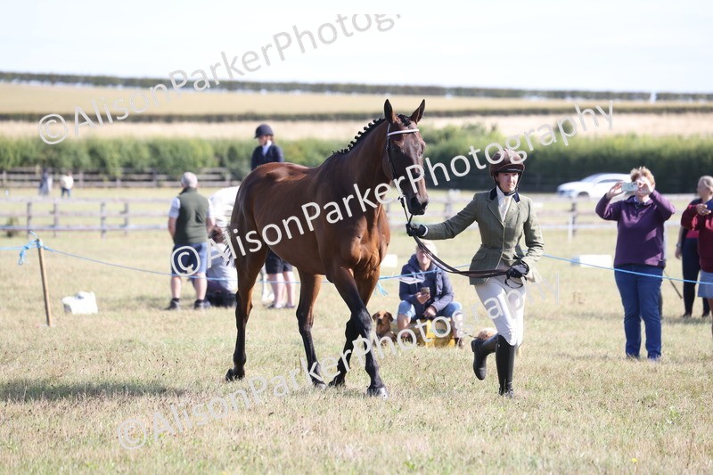 20260906-0705 - Class 22 - Ex Racehorse