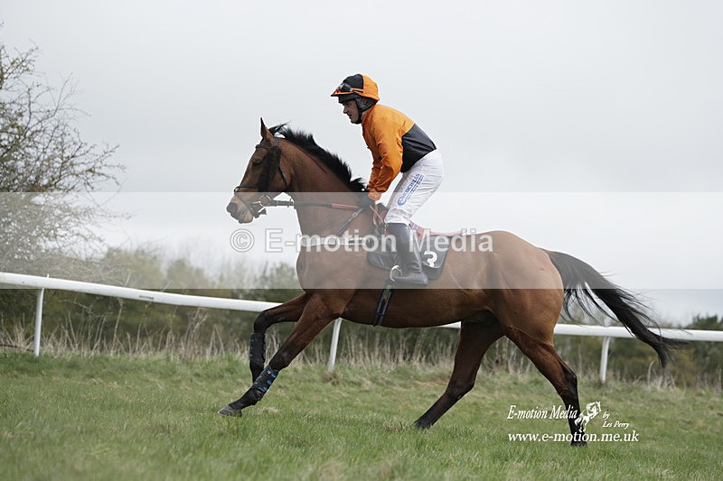 PtP 260323 0672 - New Forest Hounds Point-to-Point Larkhill 26/03/23