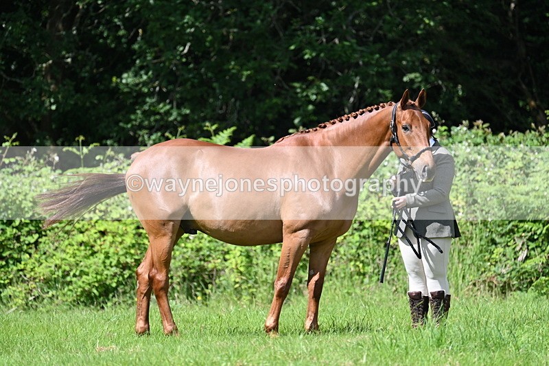 WJ7_1228 - Class 11 Condition & Turnout