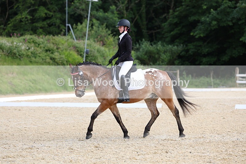 3E7A1452 - Class 2: Intro 2 2024 Section B