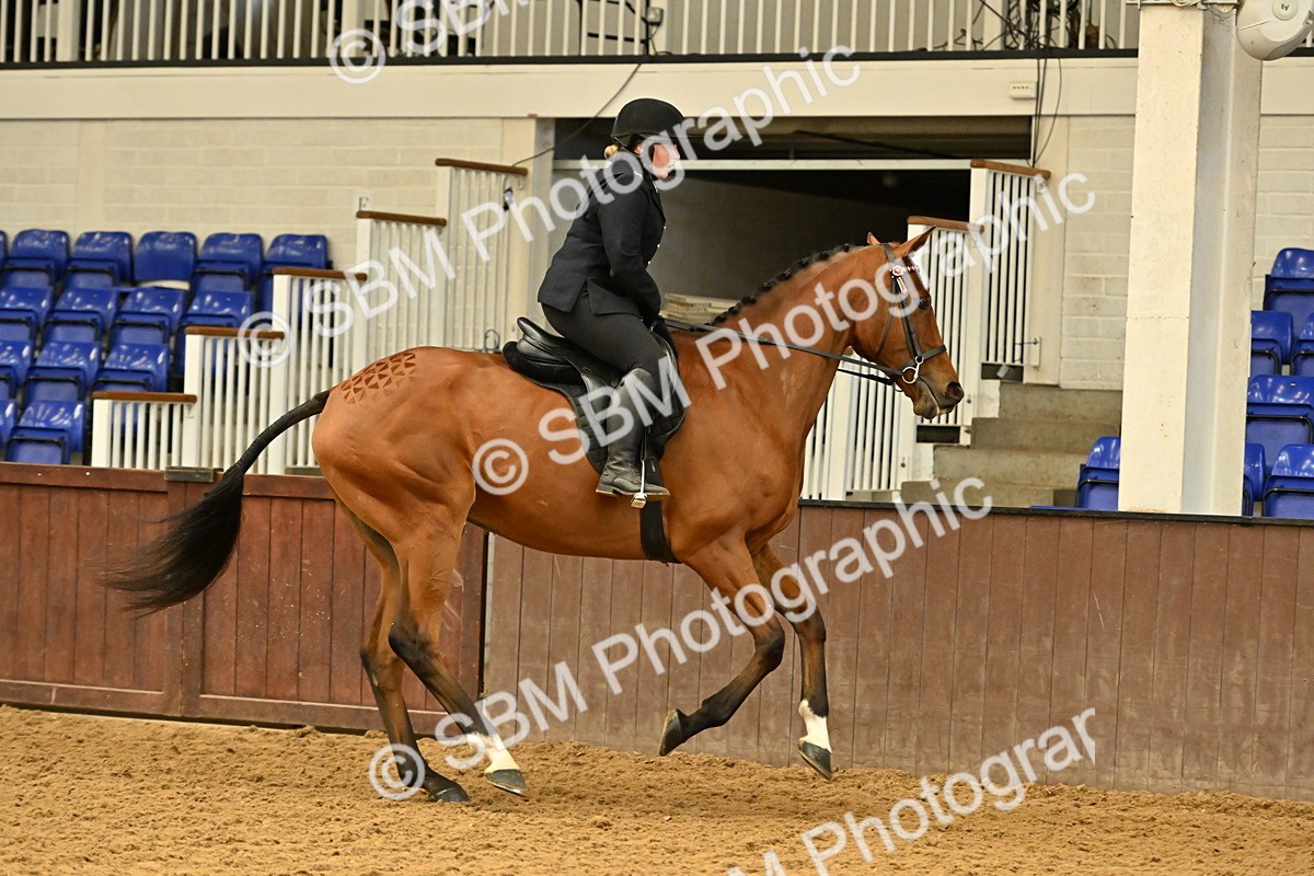 SBM_001991 - Class 24 - BSHA Ridden Racehorse to Show Horse