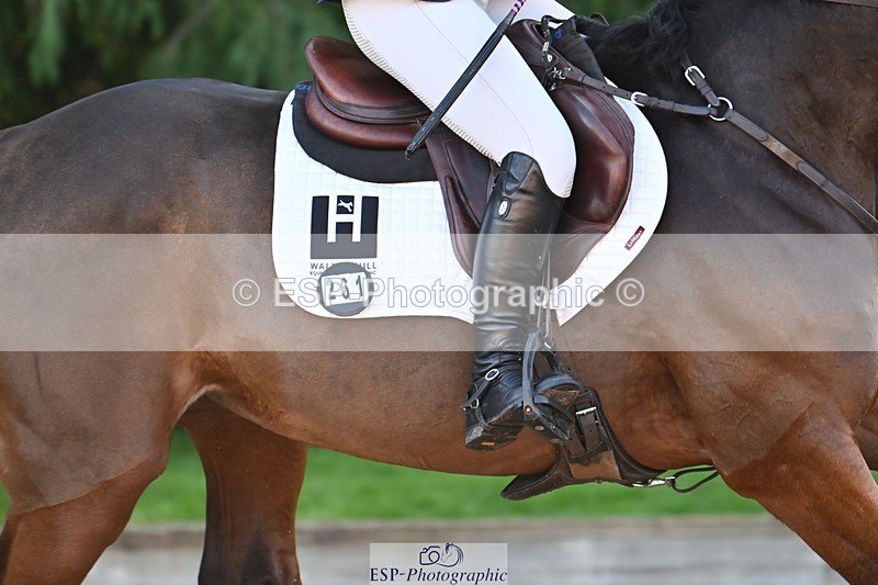 231022-104832-23484 - 261-TATTLER-Eugena.Barker-SJ