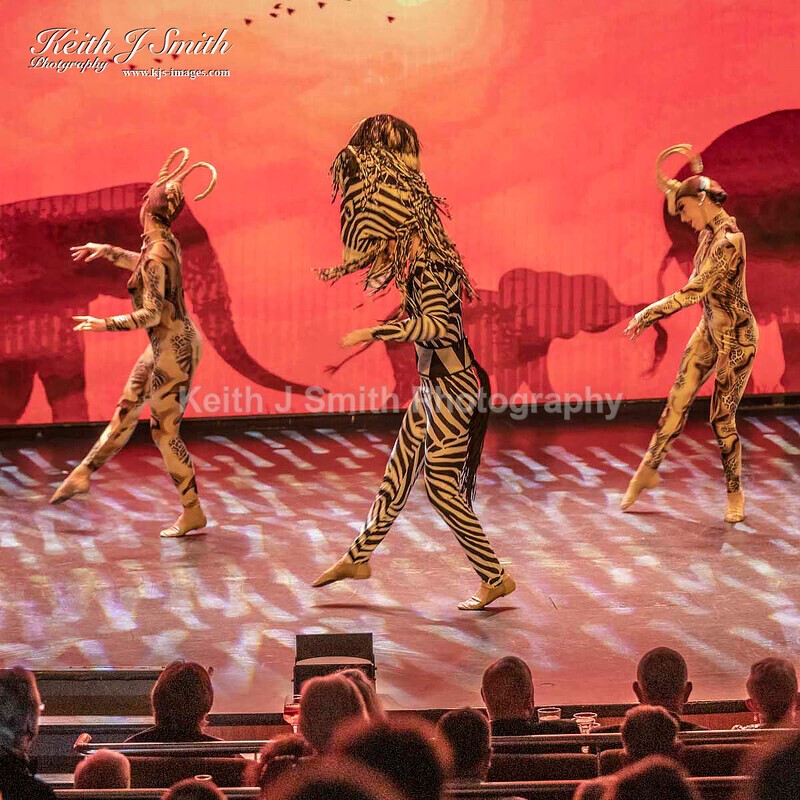 6KJS0332 - Ambition show team