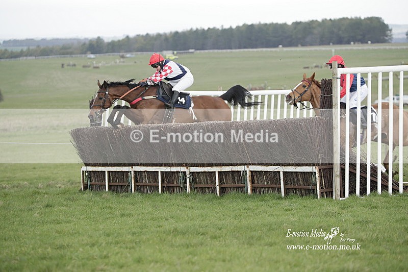 PtP 260323 0579 - New Forest Hounds Point-to-Point Larkhill 26/03/23