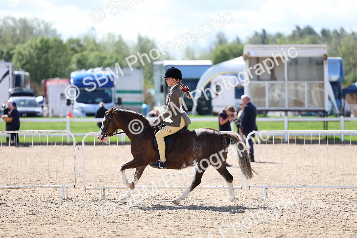 SBM_13333 - Class 311 - Ridden Show Pony Show Hunter Pony