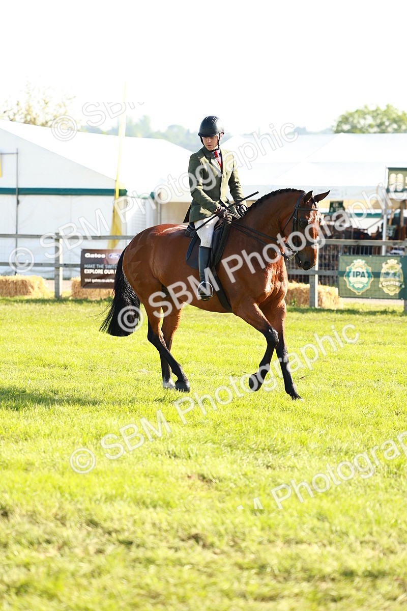 SBM_10756 - Class 66-69 - RIHS Ridden Hunters Inc Small Hunter