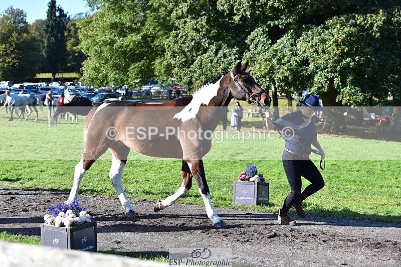 231022-110512-23706 - 408-BANKSY.III-Tina.Wallace-TrotUp+SJ