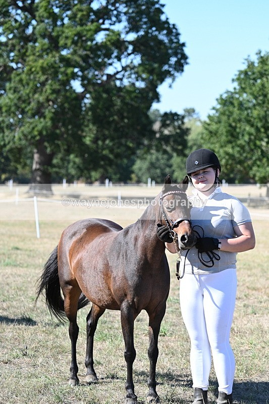 WJ7_2146 - Class 44 Child's Best Friend