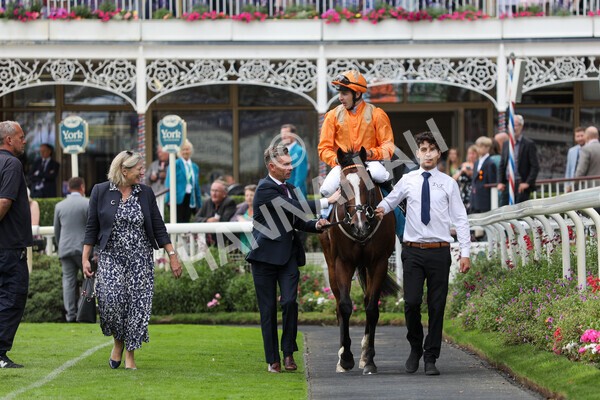 yr17082022r7-35 - Race 7 5.20pm Sky Bet Nursery Handicap