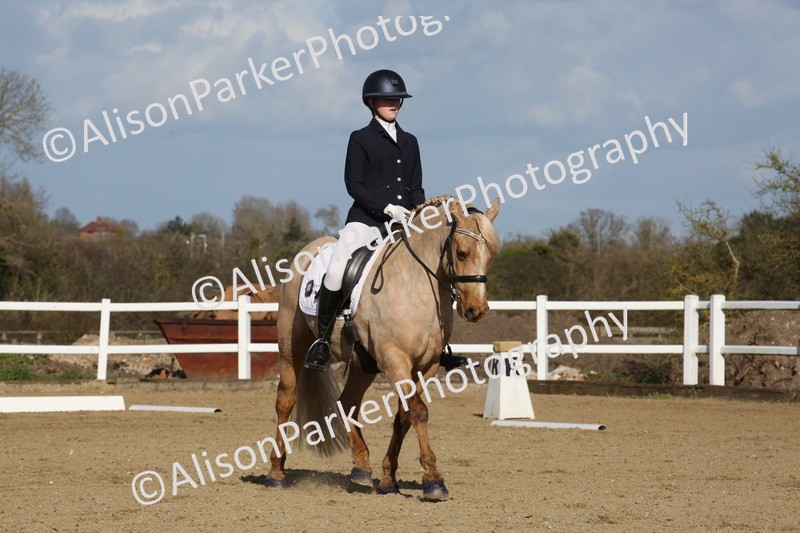 20260314-5180 - DR6 - Novice 2