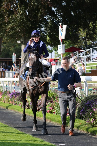 yr05092021r6-19 - Race 6 4.50pm Hanson Spring Stakes