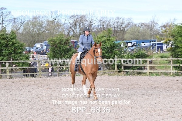 BPP_6836 - RING 1  (RIDDEN HORSES / IN HAND / VETERAN ETC)