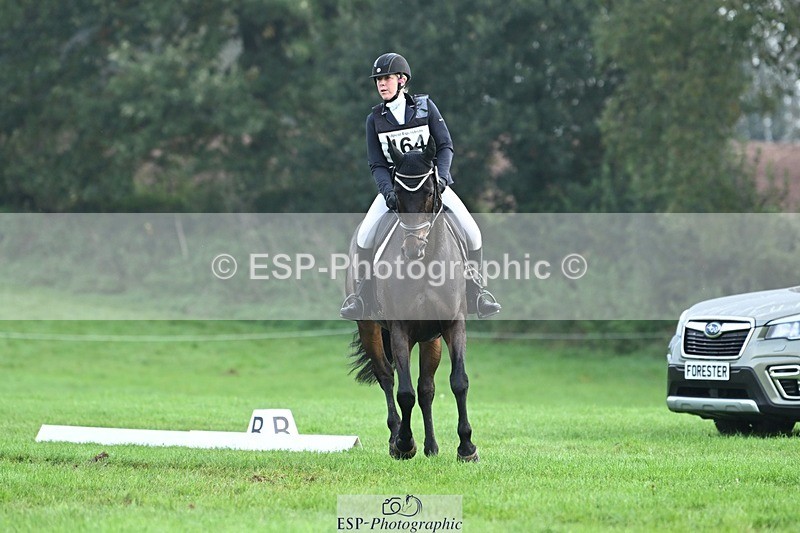 231020-094620-05759 - 464-IMPERIAL.TANGLE-Deborah.Burrell-DR