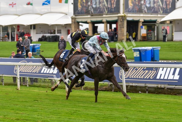 131023-Race 2-Lordship-9199 - Race 2 2.40pm William Hill Finale Handicap