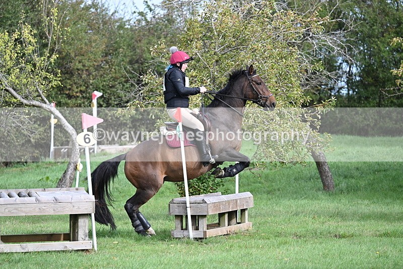 WJ7_8309 - 60cm Pairs