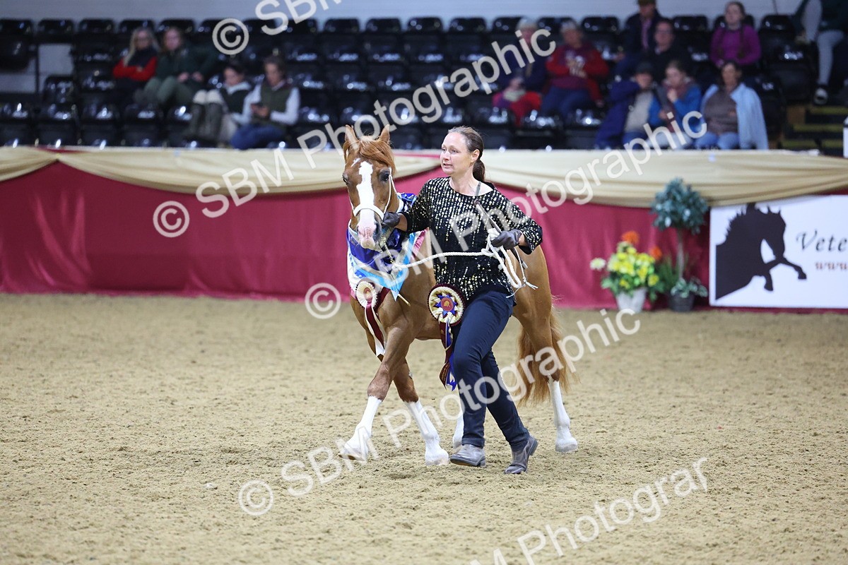 0B8A4435 - Class N M&M Champ