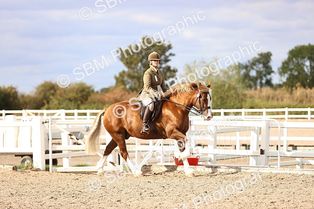 SBM_18169 - Class 423 - Equitation (best rider) Adult