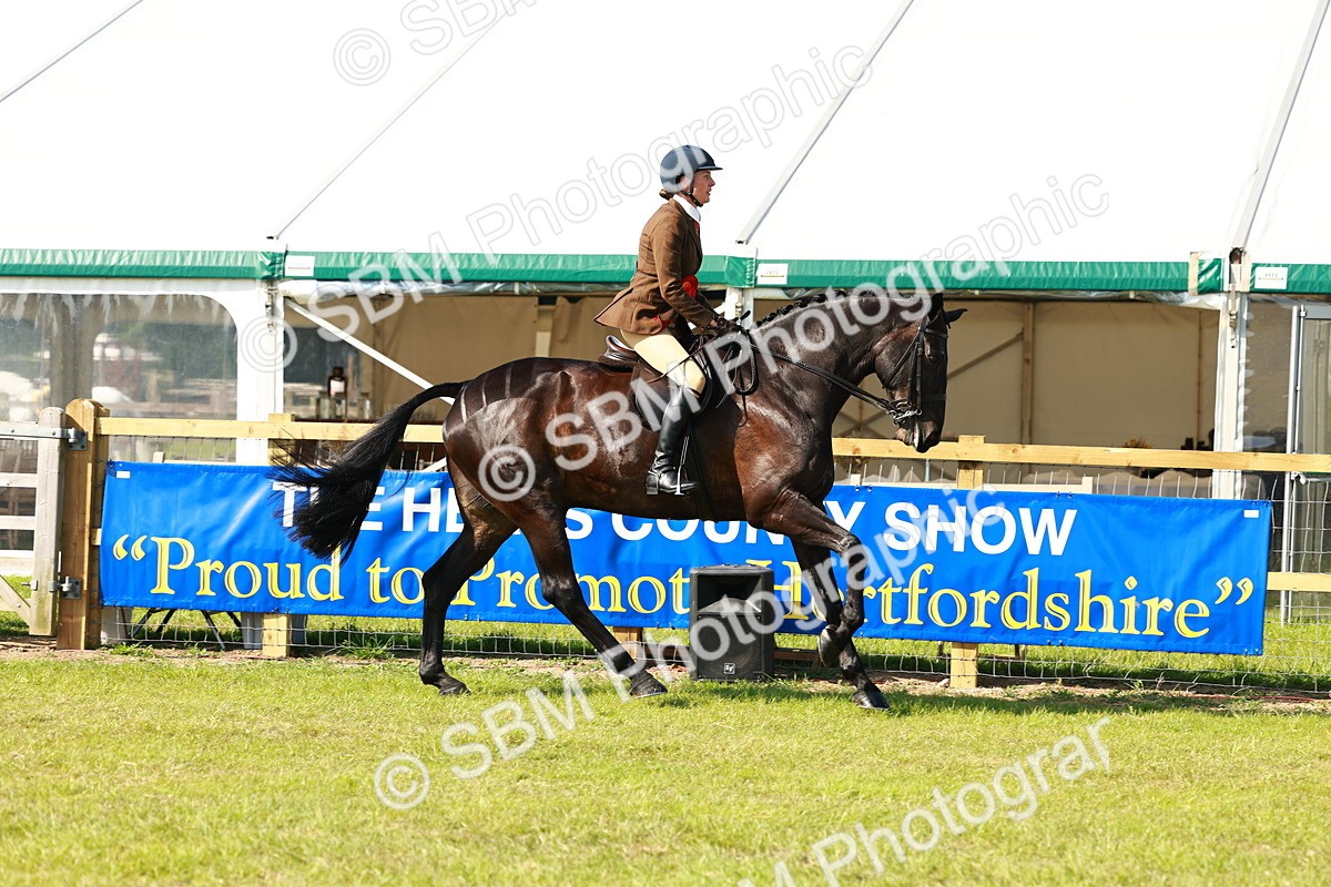 SBM_11928 - Class 66-69 - RIHS Ridden Hunters Inc Small Hunter