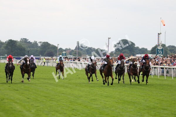 yr20082021r3-12 - Race 3 3.00pm Al Basti Equiworld Dubai Gimcrack Stakes