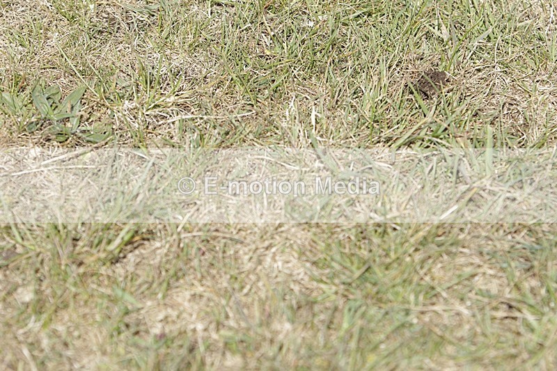 BVHT 140517 I-581 - Class 1 SJ Intermediate 14/05/17