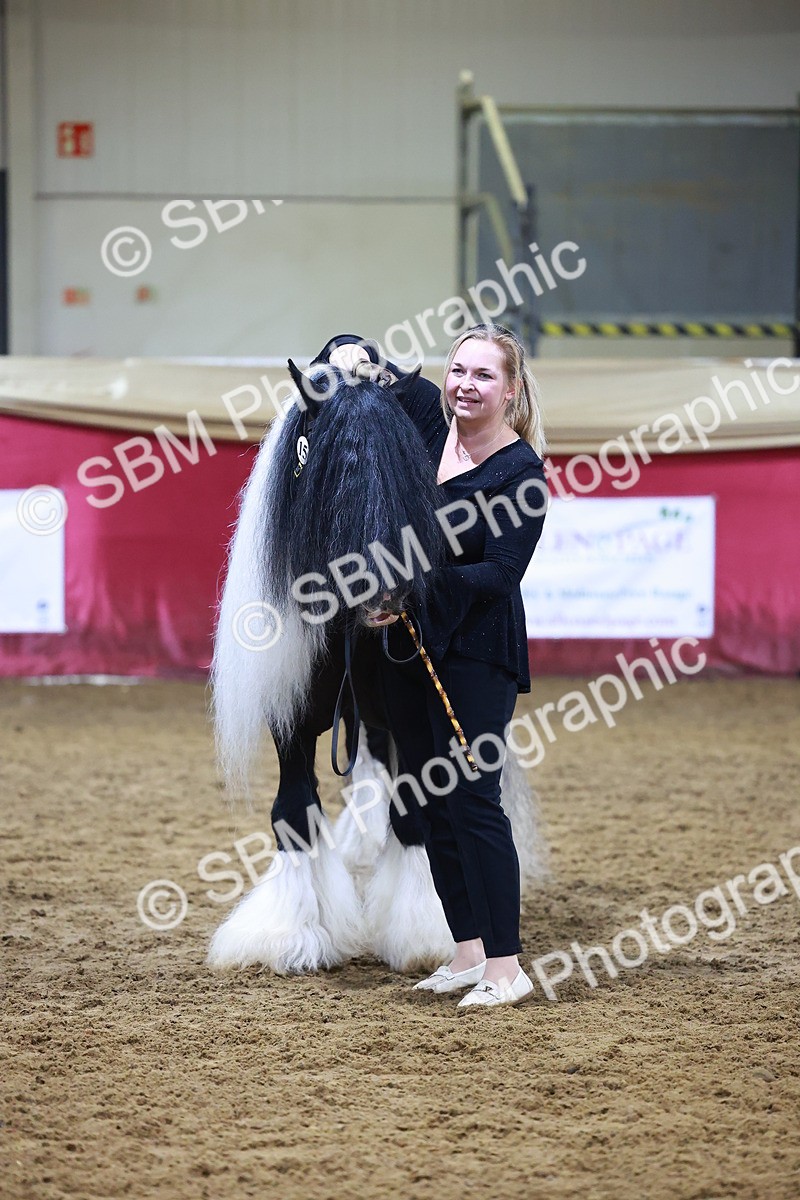 SBM_14906 - Class L - Coloured Champ