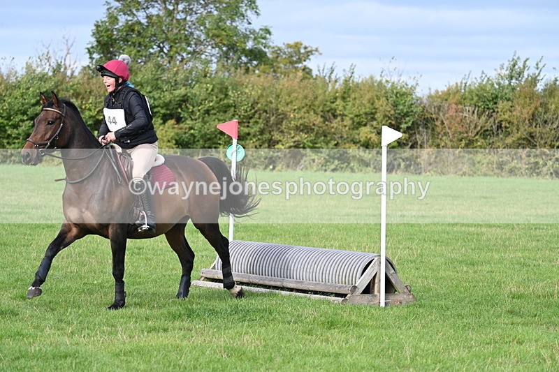 WJ7_8287 - 60cm Pairs