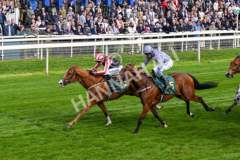 150526-Race 6-Fortification-0351 - Race 6 4.40pm Irish Thoroughbred Marketing Handicap