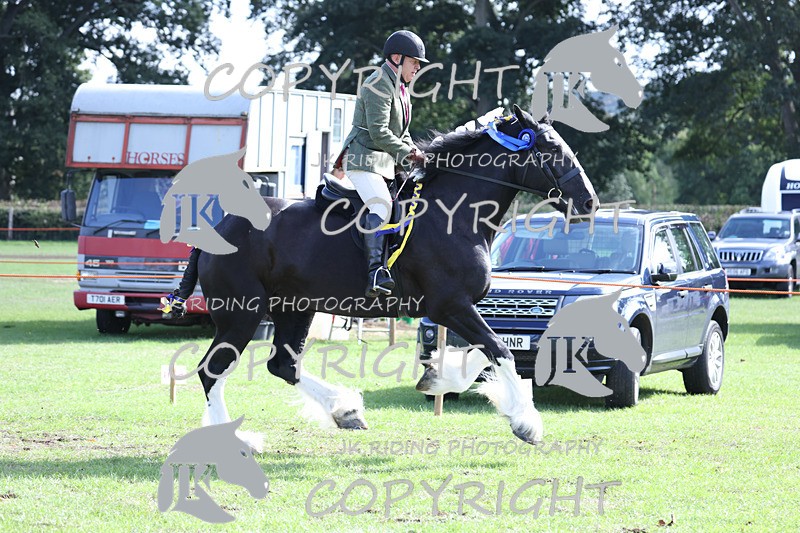 APP_3771 - Class 8 Ridden Class