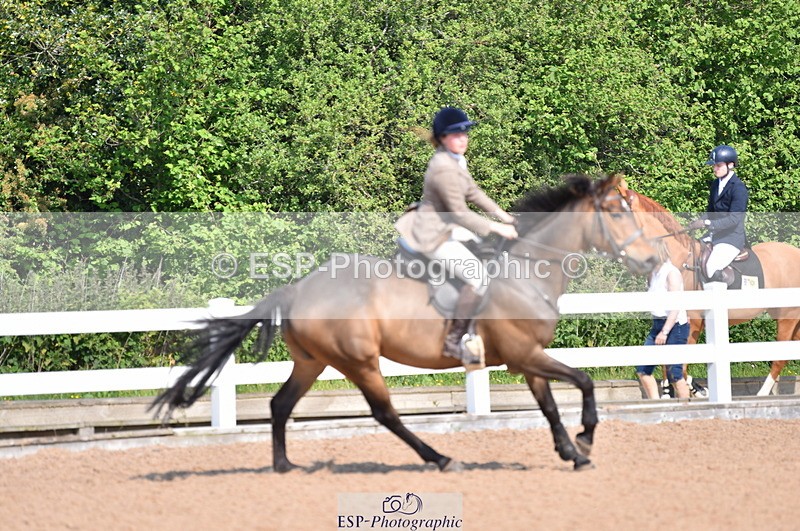 230609A-100618-00264 - Cls 8 British Novice & 90cm Open