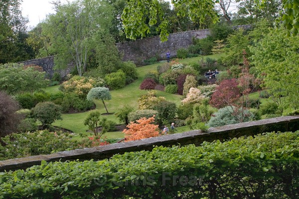  - Dabton Gardens