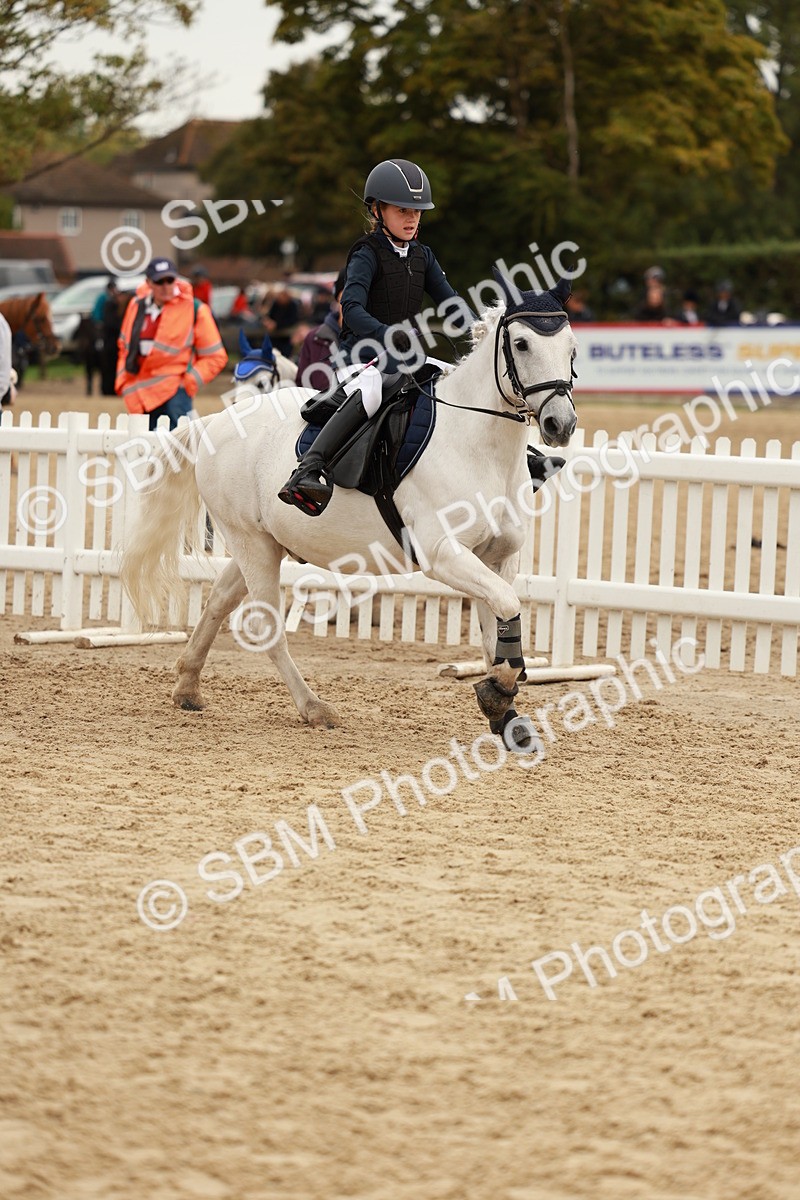 SBM_58050 - J11 - Junior Pony 50cm Championship