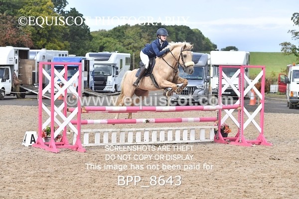 BPP_8643 - CLASS 5 Pony Discovery / 90cm Open