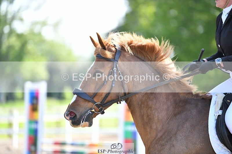 230512-104409-00584 - Cls 10 Snr 85cm Schooling