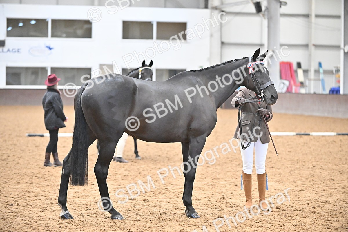 SBM_000233 - Class 7 - ROR Tattersalls In Hand