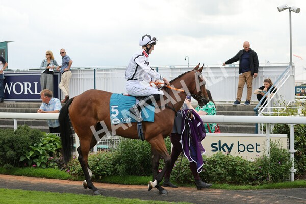 yr04092022r4-2 - Race 4 3.30pm Federation of Bloodstock Agents Nursery Handicap