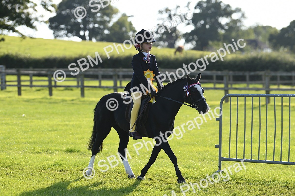 SBM_52469 - S22 - 1st Ridden Show & Show Hunter Pony