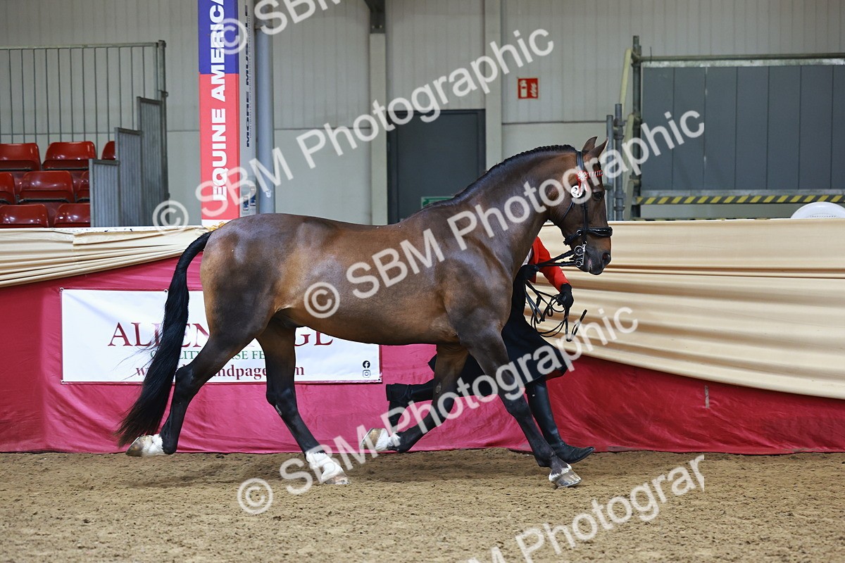 SBM_22275 - Class 902 - Supreme Final - IH Diamond