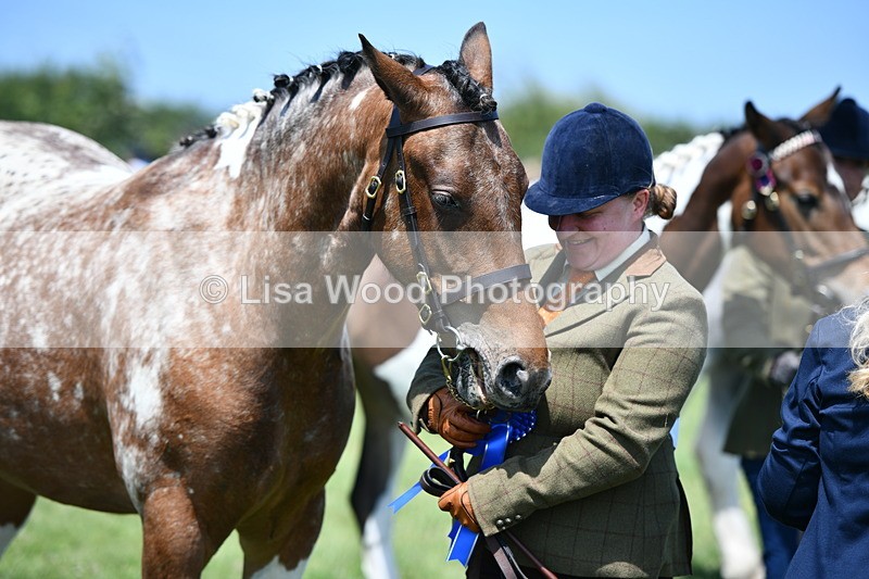 DSC_7552 - Class 63: Coloured Horse Youngstock